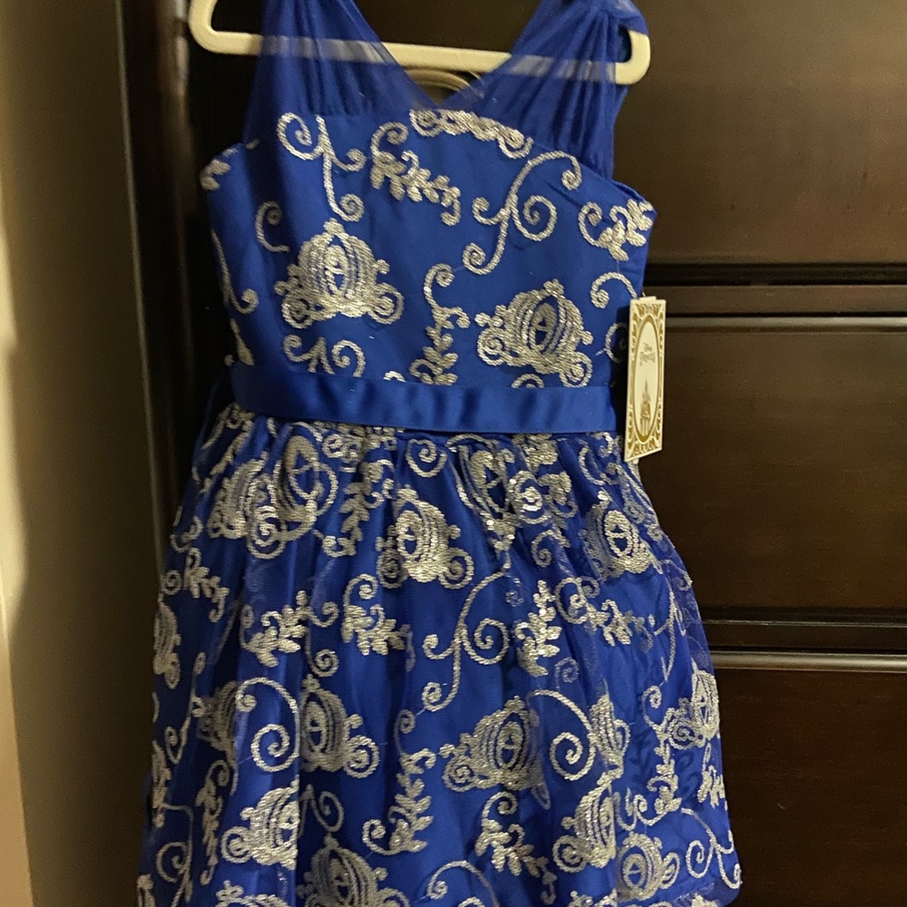 Disney Cinderella dress